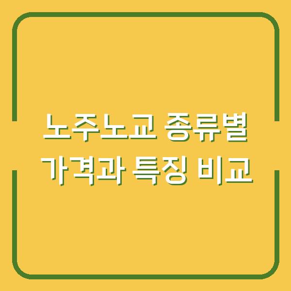 노주노교 종류별 가격과 특징 비교