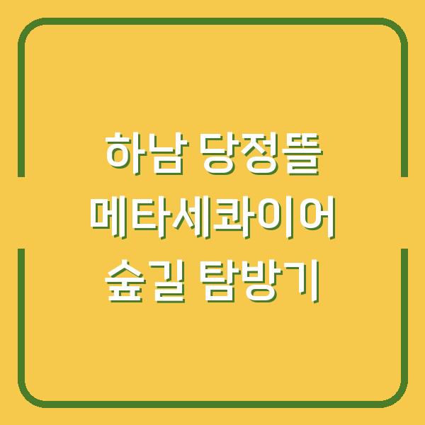 하남 당정뜰 메타세콰이어 숲길 탐방기