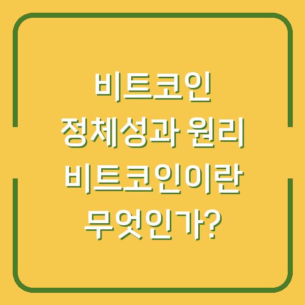 비트코인 정체성과 원리 비트코인이란 무엇인가?