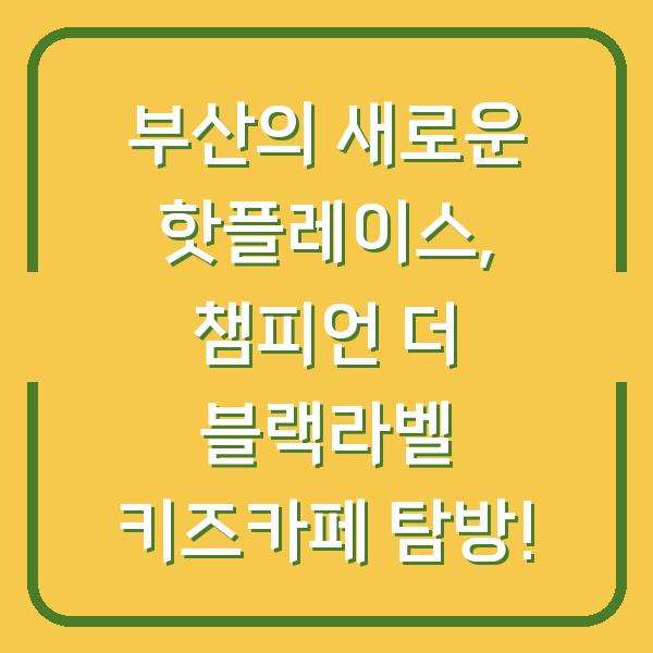 부산의 새로운 핫플레이스, 챔피언 더 블랙라벨 키즈카페 탐방!