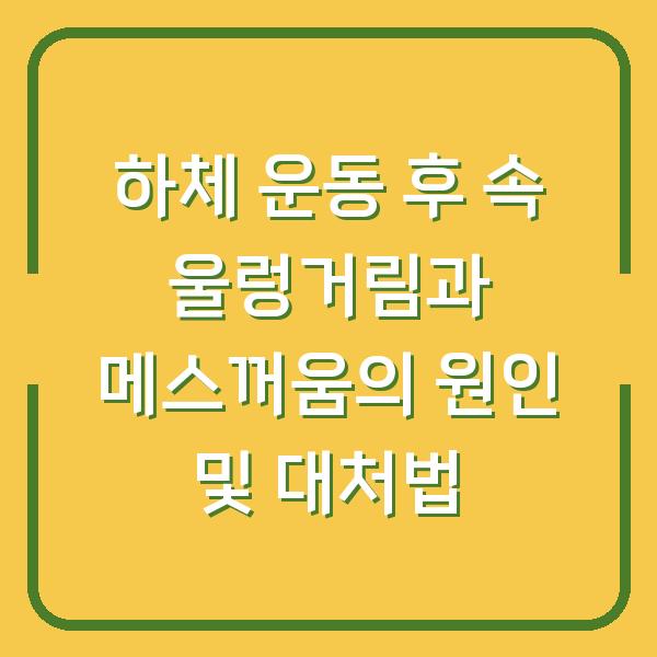 하체 운동 후 속 울렁거림과 메스꺼움의 원인 및 대처법