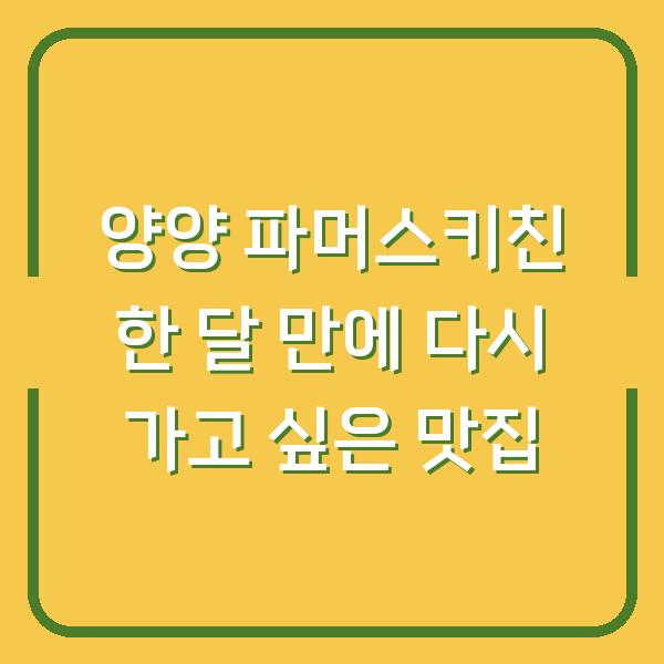 양양 파머스키친 한 달 만에 다시 가고 싶은 맛집