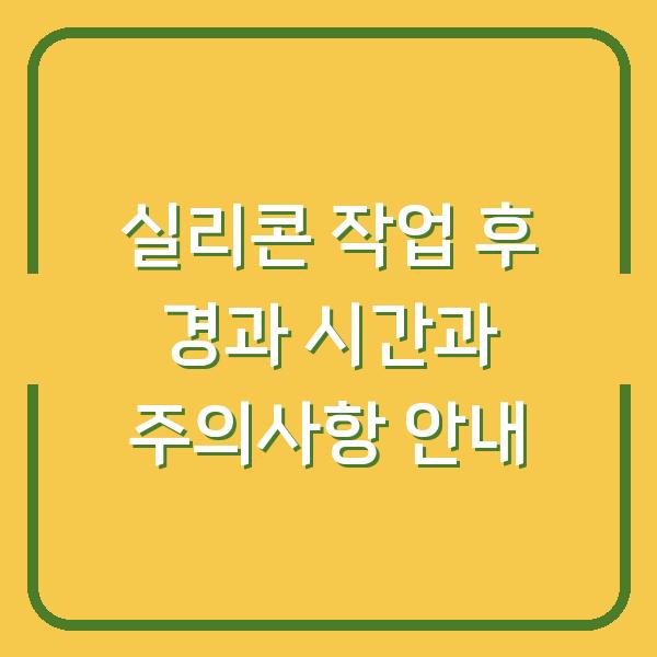 실리콘 작업 후 경과 시간과 주의사항 안내
