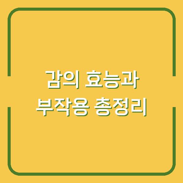 감의 효능과 부작용 총정리