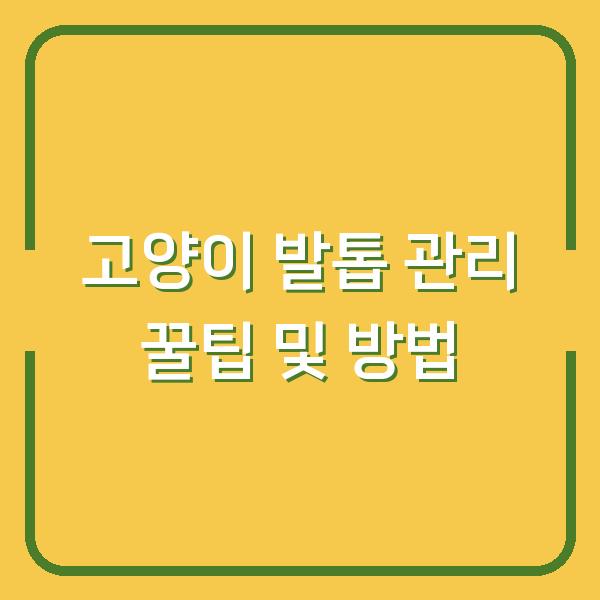 고양이 발톱 관리 꿀팁 및 방법