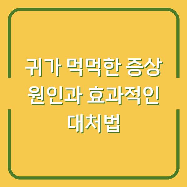 귀가 먹먹한 증상 원인과 효과적인 대처법