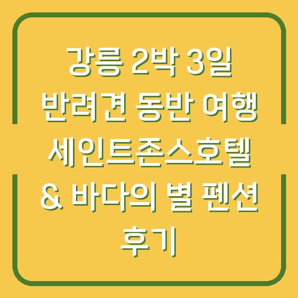 강릉 2박 3일 반려견 동반 여행 세인트존스호텔 & 바다의 별 펜션 후기