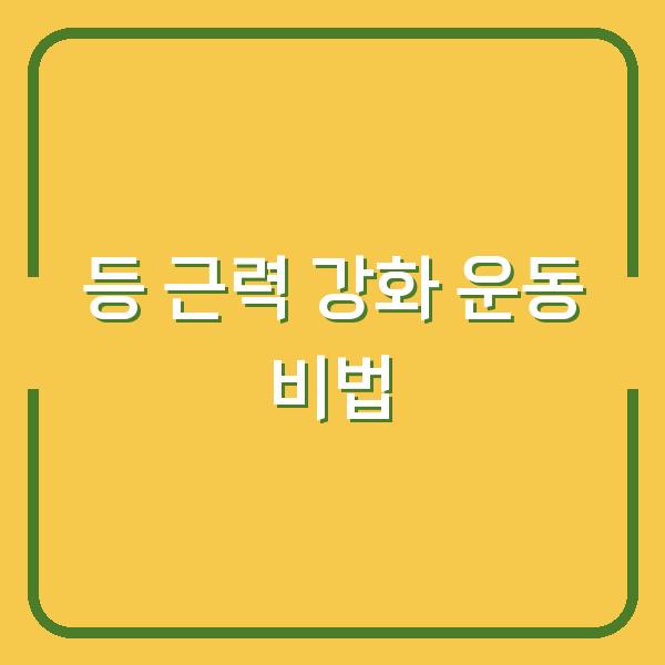 등 근력 강화 운동 비법