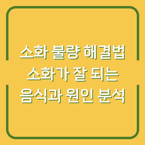 소화 불량 해결법 소화가 잘 되는 음식과 원인 분석