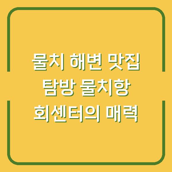 물치 해변 맛집 탐방 물치항 회센터의 매력