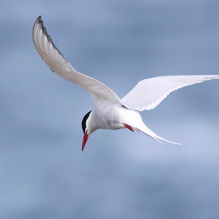 설화수 자음생 세트