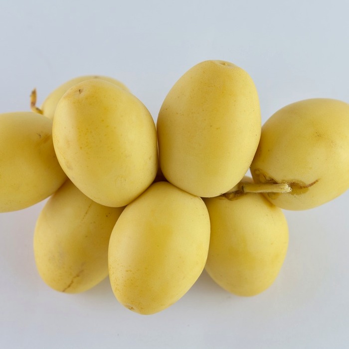 날짜 연산 예제