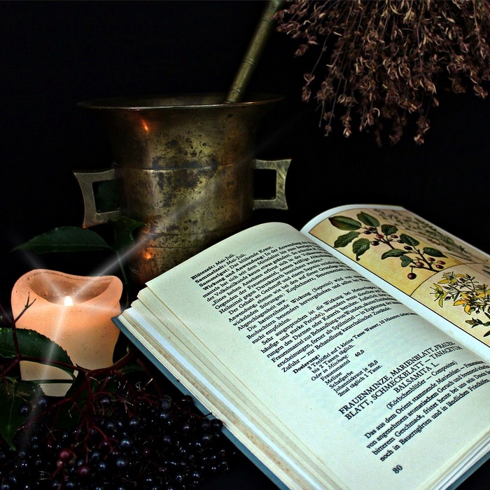 비만 치료제 비교