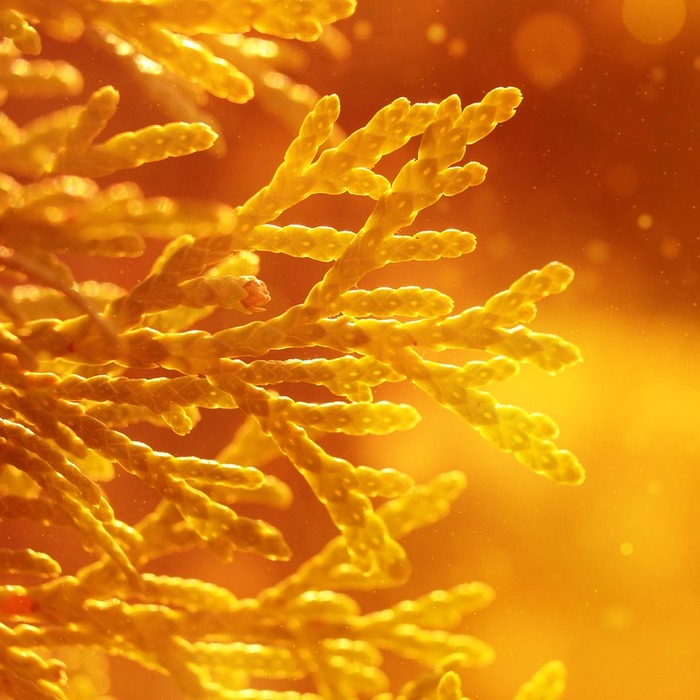 ESG 투자 트렌드