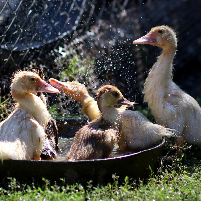 현대차 할부 조건