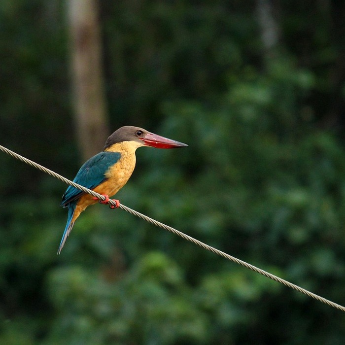 선급금 청구 절차