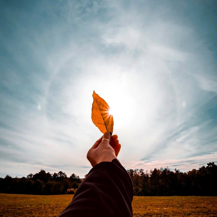 손목 건초염 개념