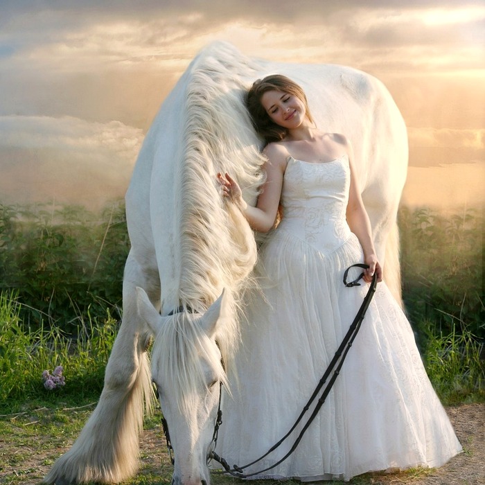 당근꽃 아름다움