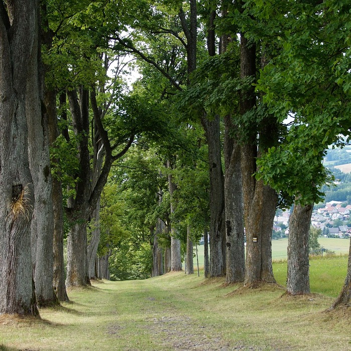 브랜드 구축 방법