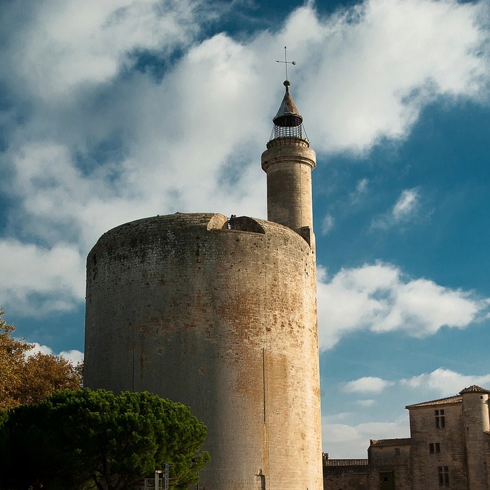 사망 확인서 예시