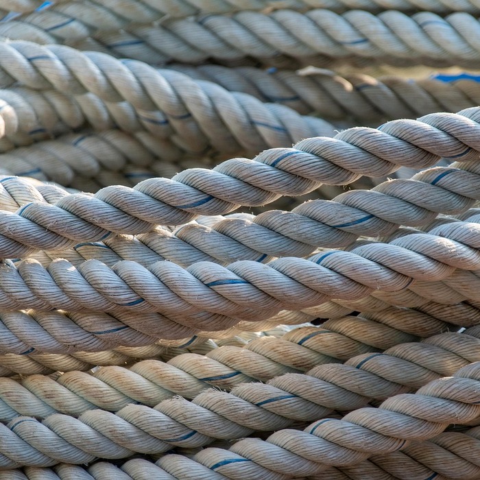 주방 재료 활용