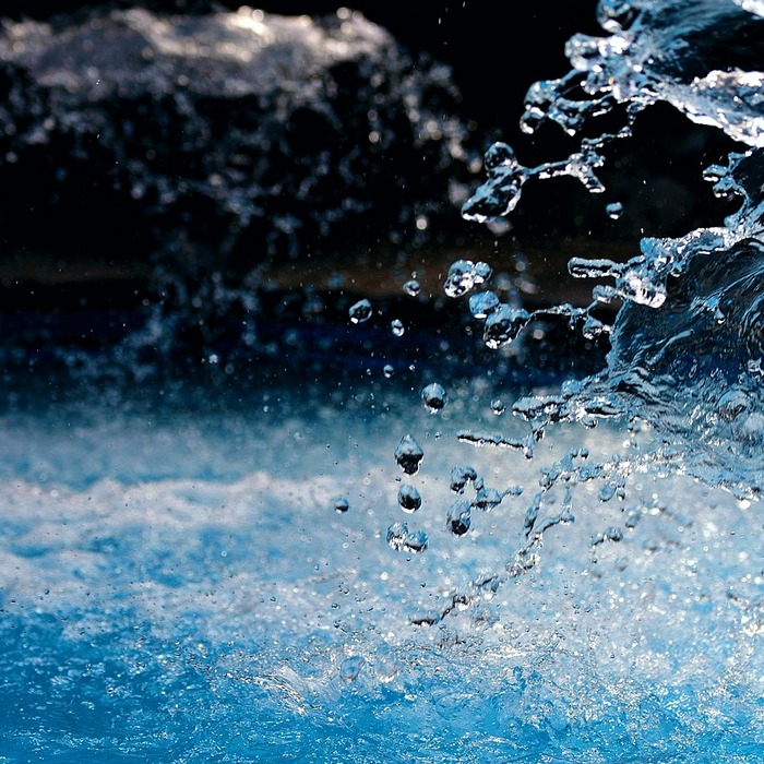 뱀띠 성격 특징