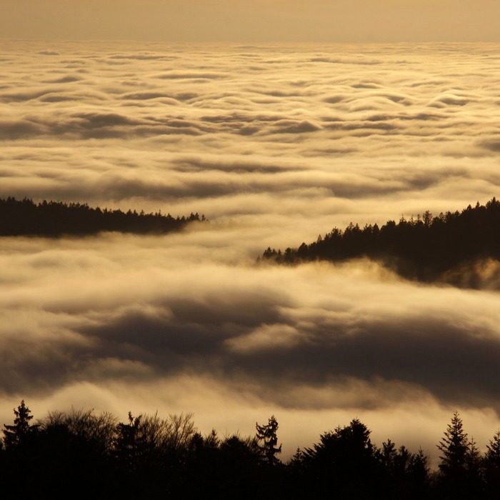 무비자 입국 조건