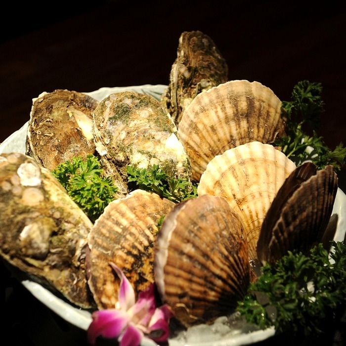 가리비 상태 확인