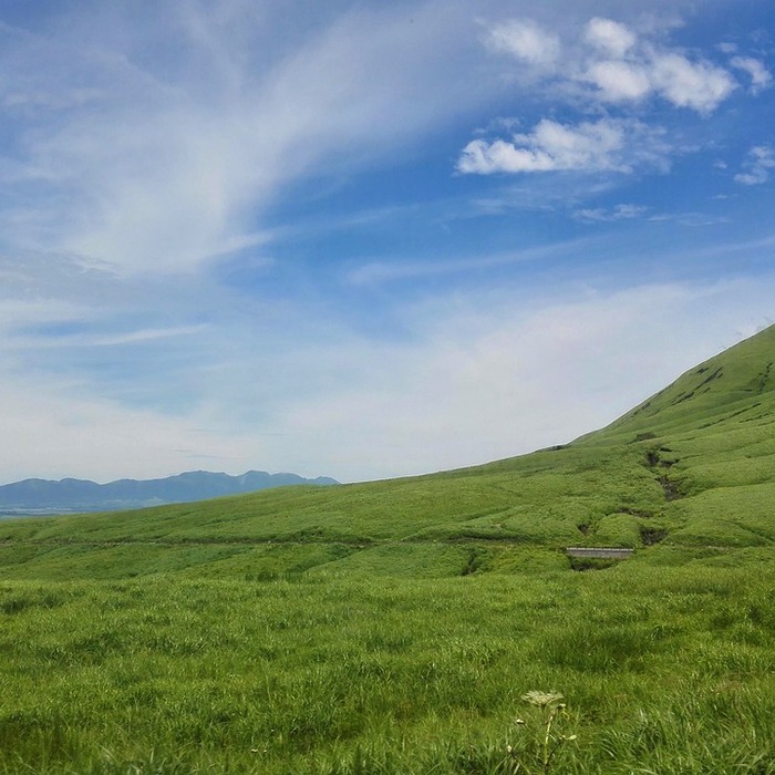 후쿠오카 해산물