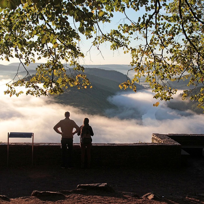 피임 루프 종류