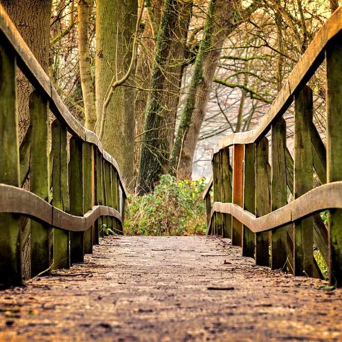 천장호 출렁다리