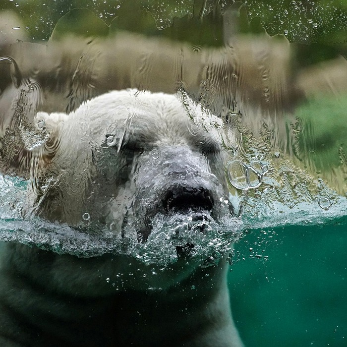 기후 변화 회의