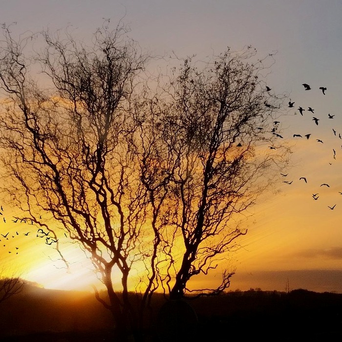 턱살 생기는 이유