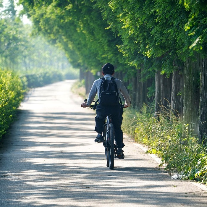 한국 경제 전망