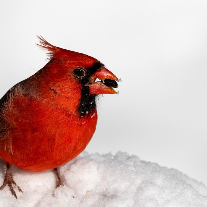 겨울철 습도 관리
