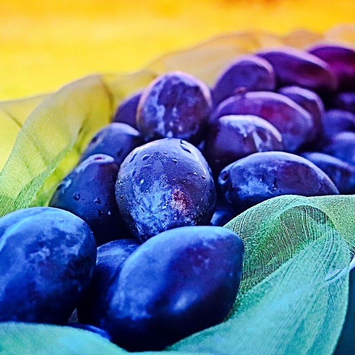 수분 많은 음식