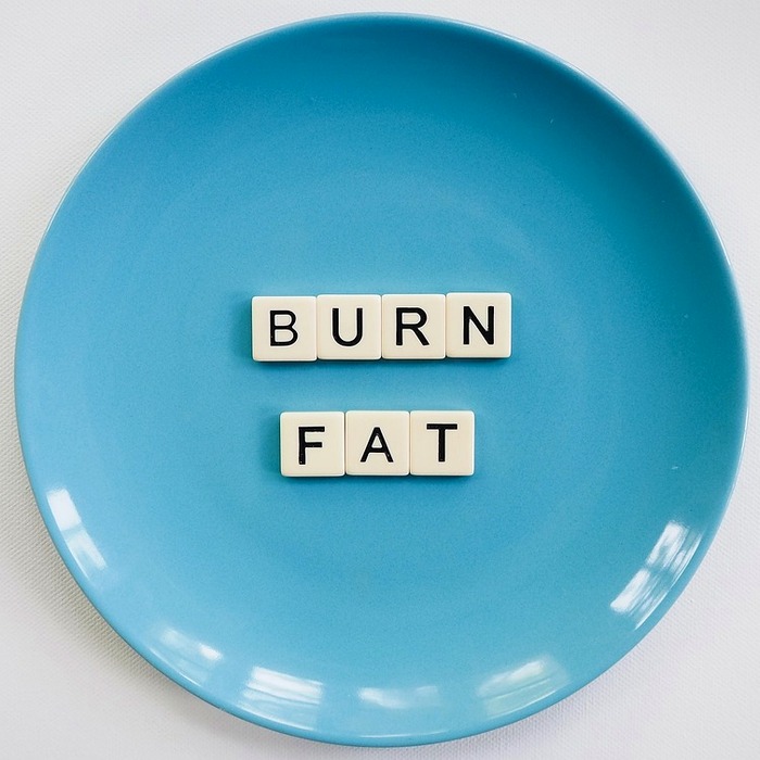 균형 잡힌 식사