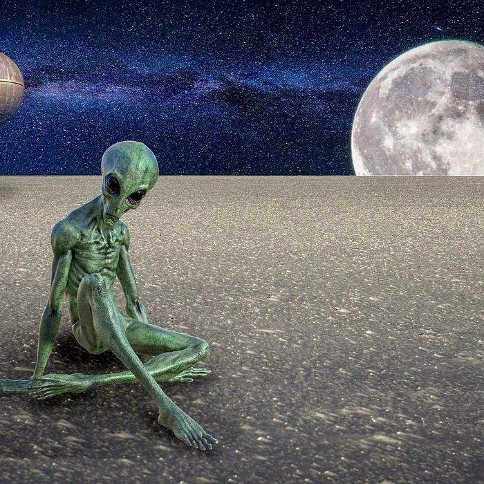 서울 외국인 교류