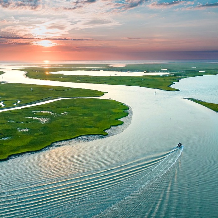 주사피부염 원인