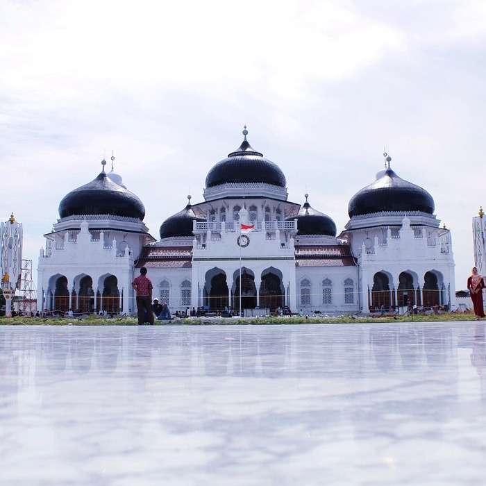 요양보호사 서비스