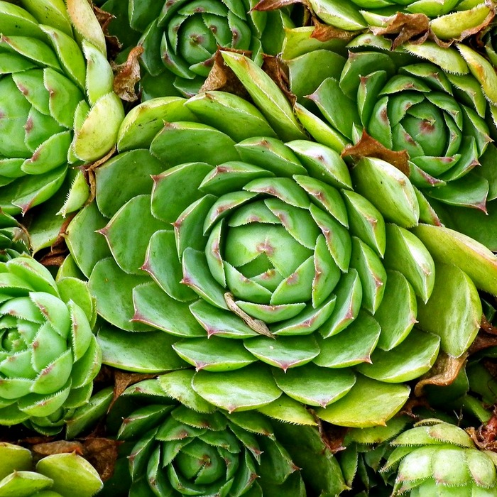 데저트힐 아울렛