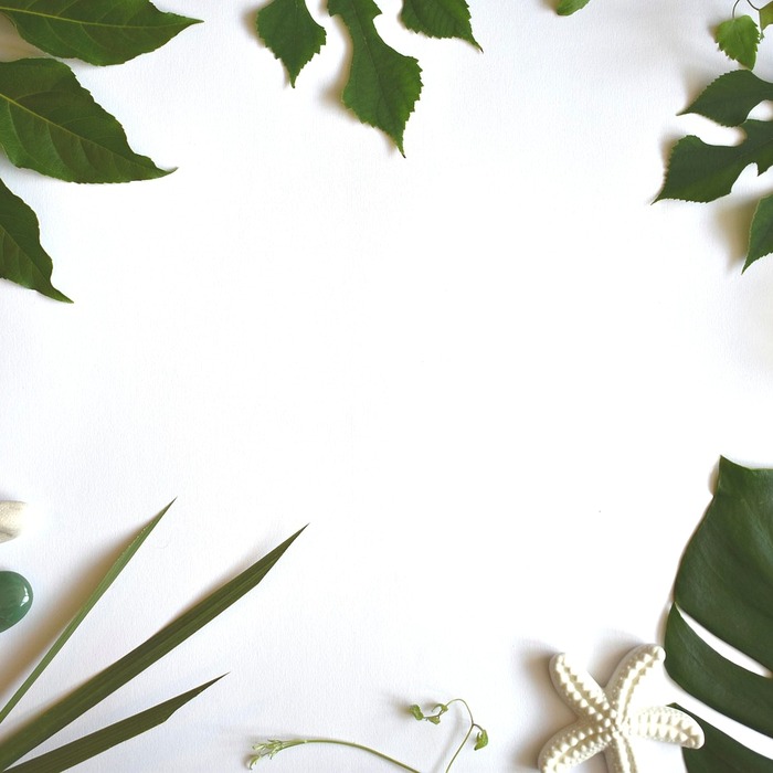 여백 없는 인쇄