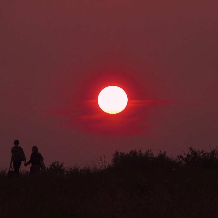 외계인과의 우정