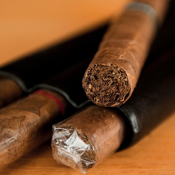 인공지능 활용 사례