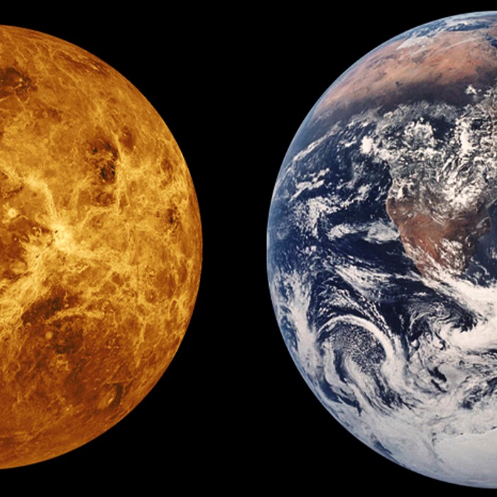 고량주 가격 비교