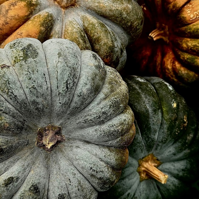 할로윈 사탕 포장