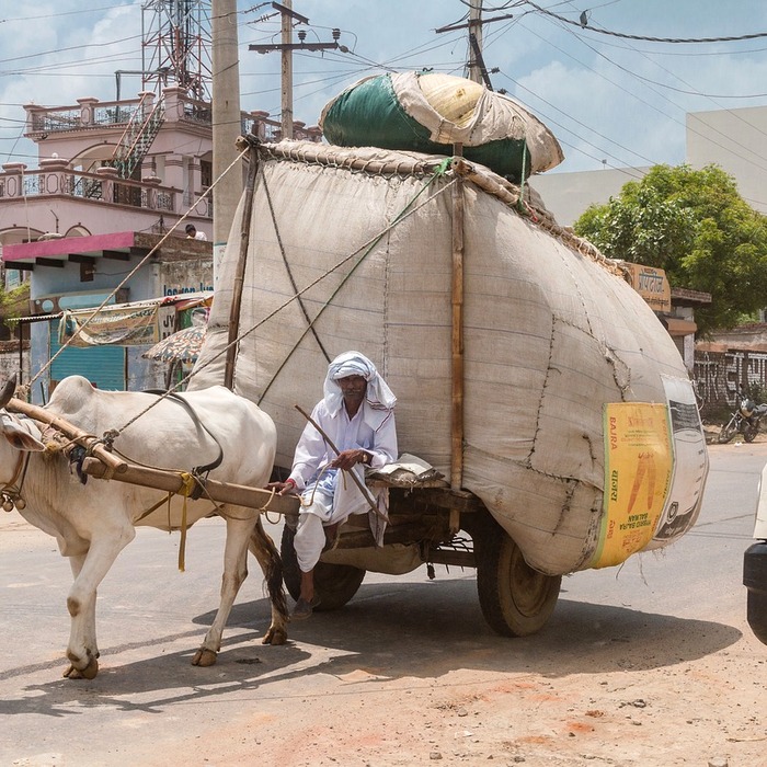금융 상품 관리