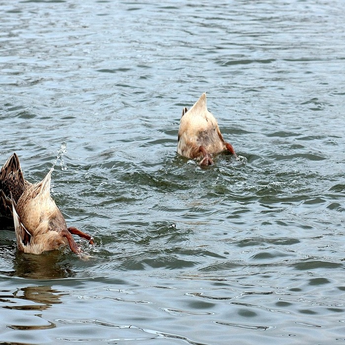 무이자 할부 조건