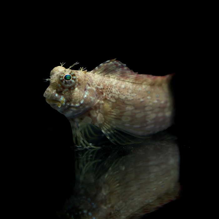 평균 임금 산정