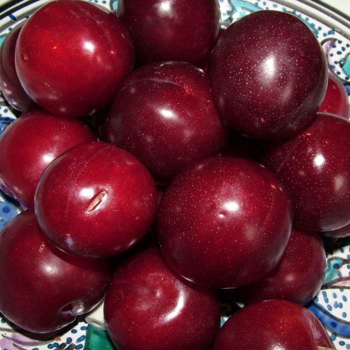 소화 건강 신호